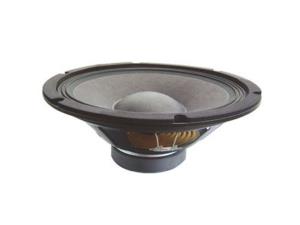 Haut parleur 12" EW 12 EP - 110 watts 30 cm 8 Ohms