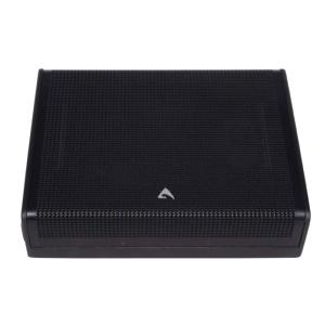 AXIOM CX14A - Retour de scène coaxial de 14", à haut rendement, amplifié