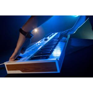 ARTURIA ESSENTIAL-61 Clavier 61 touches + analog