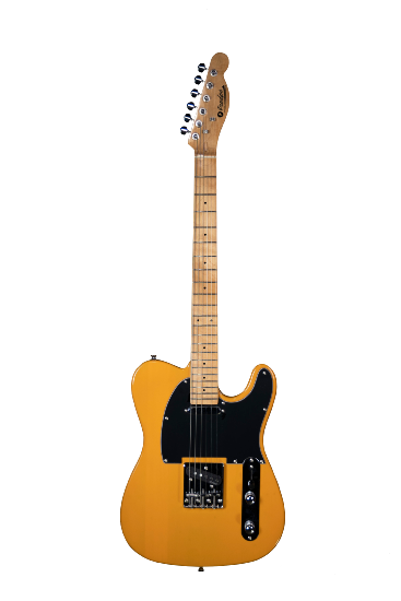 PRODIPE GUITARE - TC80 MA BS - prodipe guitars tc80ma butterscotch