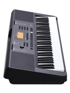 MEDELI MK200 - Clavier Medeli série Millenium
