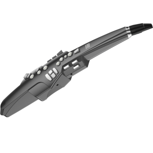 ROLAND AE-10G - Aerophone digital wind instrument
