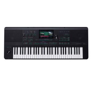 MEDELI AKX10 - Medeli Clavier arrangeur Pro Series