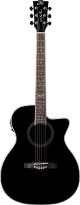 EKO GEA NXT-A100CWE-BLK - Auditorium - Auditorium cutaway électro bk