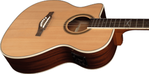 EKO GEA NXT-A100CWE-NAT-LH - Auditorium cutaway électro Natural gaucher