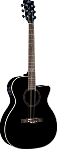 EKO GEA NXT-A100CWE-BLK - Auditorium - Auditorium cutaway électro bk