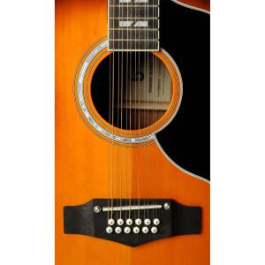 EKO GEA RANGERVR12-HB - Ranger VR XII - Dreadnought 12 cordes Honey Burst