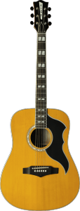 EKO GEA RANGERVR6-NAT - Ranger VR VI - Dreadnought Vintage Natural