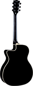 EKO GEA NXT-A100CWE-BLK - Auditorium - Auditorium cutaway électro bk