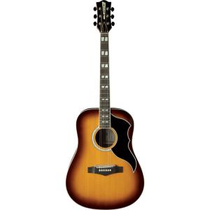 EKO GEA RANGERVR6-EQ-HB - Ranger VR VI - Dreadnought électro Honey Burst