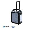 POWER ACOUSTICS - FUNMOVE 200 - Sono portable 200W sur batterie avec trolley