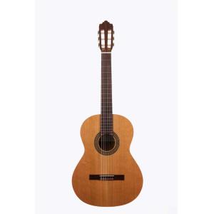 PRODIPE GUITARS RECITAL 200 - Guitare classique