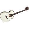 LAG - GLA T118ASCE-IVO - Guitare Folk - Tramontane 118 - Auditorium Slim Cutaway