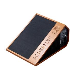 SCHERTLER TEDDY-W - Wedge stage monitor extension, 200W, 8" coaxial Woofer, wood
