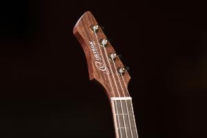 ORTEGA RUWN - UKULELE TENOR ORTEGA, EPICEA