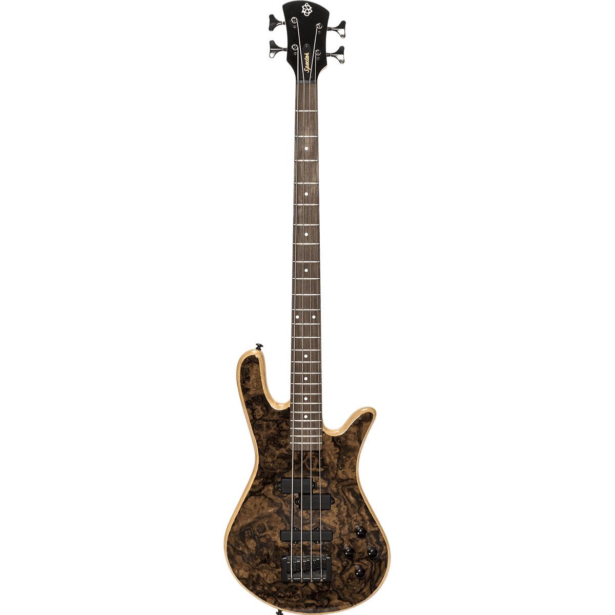 SPECTOR GSP LG4CLWCL Classic 4 4 Cordes Walnut Burl
