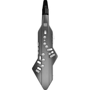 ROLAND AE-05 Aerophone GO
