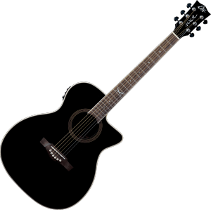 EKO GEA NXT-A100CWE-BLK - Auditorium - Auditorium cutaway électro bk