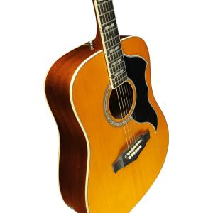 EKO GEA RANGERVR6-EQ-NAT - Ranger VR VI - Dreadnought électro Vintage Natural