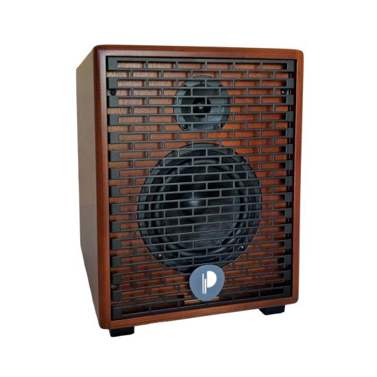 PRODIPE PRONATURAL06WOOD - ampli combo pour électro-acoustique