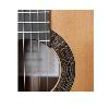 PRODIPE GUITARS - SOLOIST900 - Guitare classique
